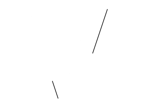 lvl gym nz